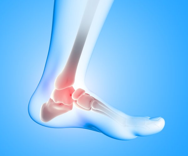 3d-render-medical-image-close-up-ankle-bone-foot-scaled.jpg